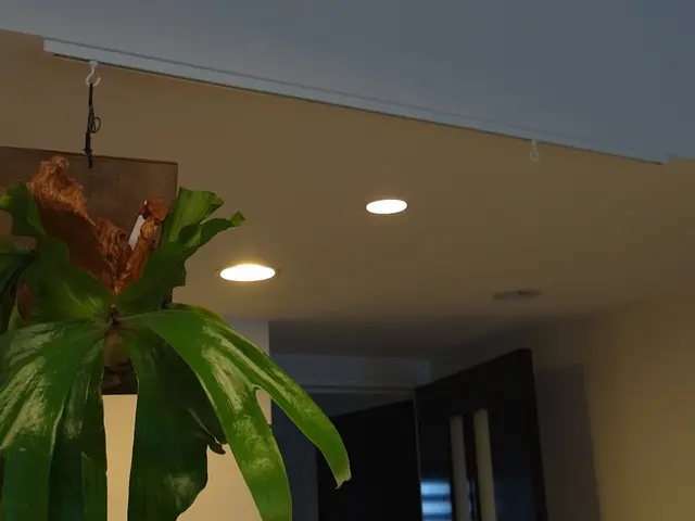 あると便利！ピクチャーレール 天井壁付けOK 絵の取付まで無料対応いたします！サービスの画像