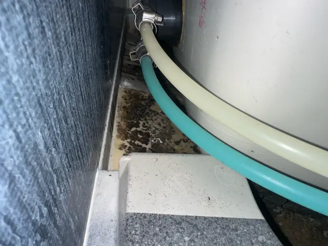 24h/即日可！国家資格保持者のコバエ駆除、対策！見たくないを実現します！割引中サービスの画像