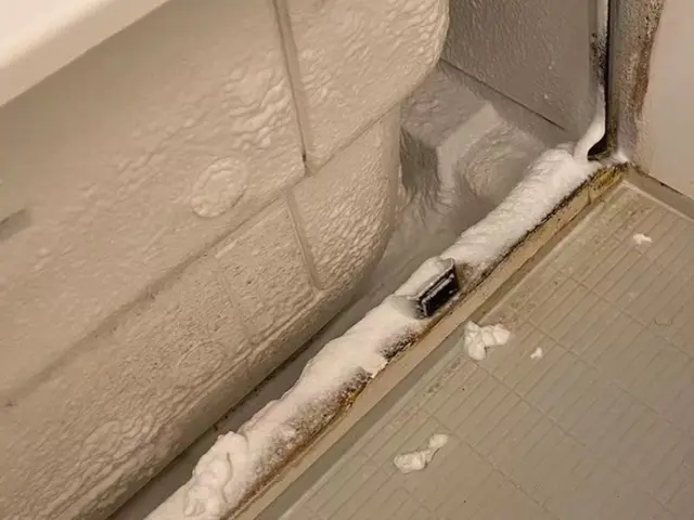 24h/即日可！国家資格保持者のコバエ駆除、対策！見たくないを実現します！割引中サービスの画像