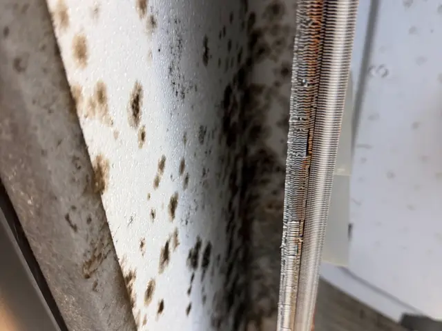 特別キャンペーン中◎室外機無料洗浄【最短1/27〜】複数割ありサービスの画像