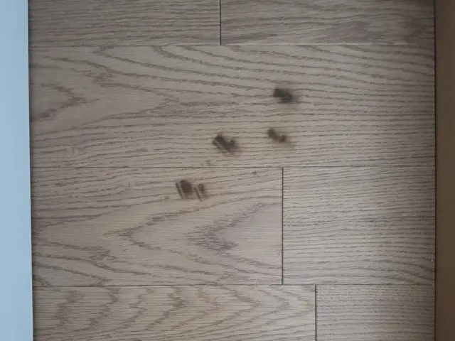 お客様の声 を丁寧にお聞きし、迅速・正確に対応いたします。サービスの画像