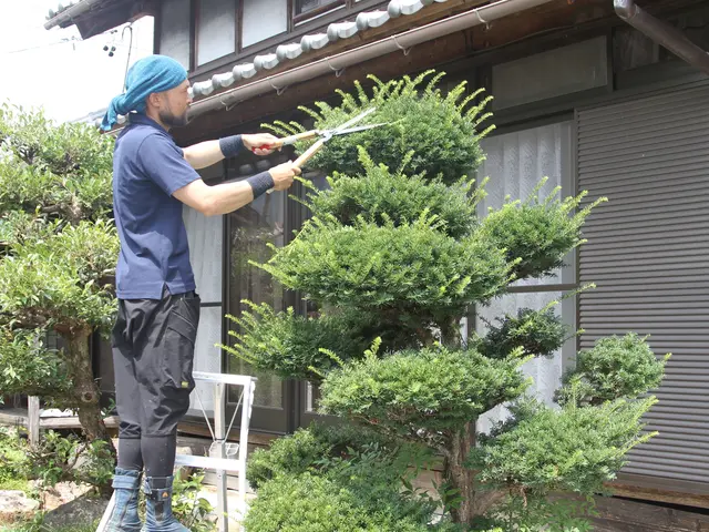 【お客様のお庭を素敵な空間に!!】和風なお庭から洋風なお庭まで幅広く対応します。サービスの画像