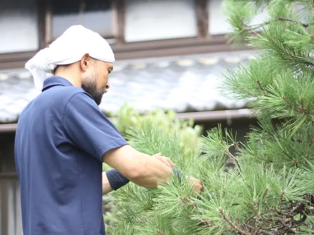 【お客様のお庭を素敵な空間に!!】和風なお庭から洋風なお庭まで幅広く対応します。サービスの画像