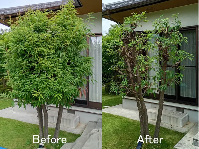 【お客様のお庭を素敵な空間に!!】和風なお庭から洋風なお庭まで幅広く対応します。サービスの画像