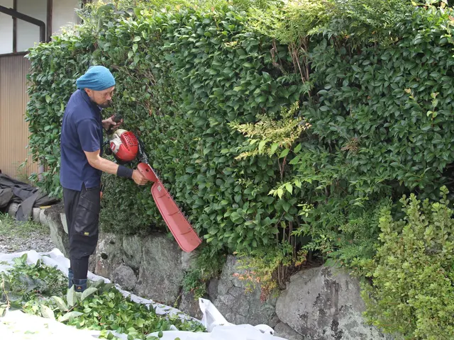 【お客様のお庭を素敵な空間に!!】和風なお庭から洋風なお庭まで幅広く対応します。サービスの画像