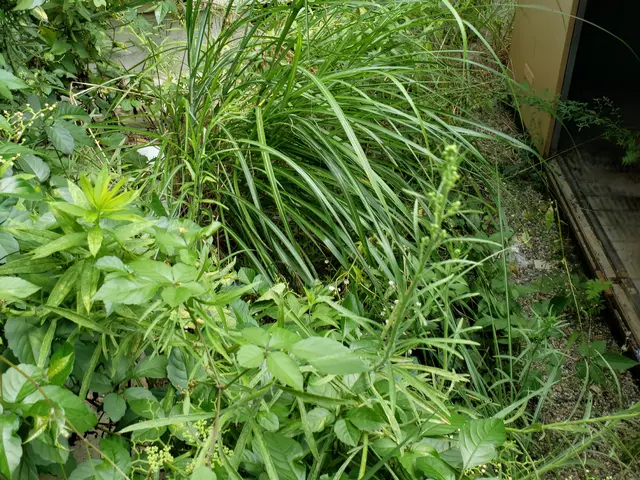 些細な事にも親切·丁寧に対応させて頂いております。お客様満足度100%♪サービスの画像