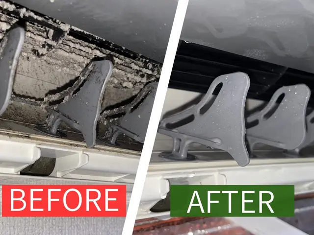 秋の☽特別セール☾ まとめ割引有 《お掃除機能付き注文で、消臭抗菌✜サービス》サービスの画像