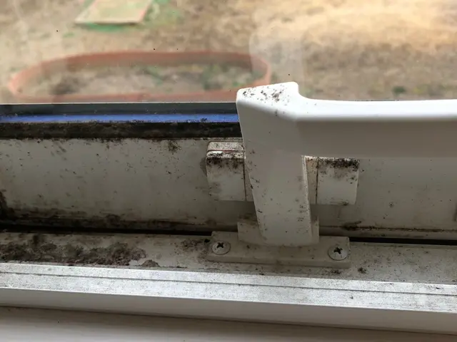 きれいな窓から見たいペルシャンブルーの空！きっと気持ちもやすらぎますよ！サービスの画像