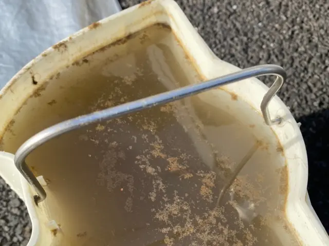 車大好きな清掃の達人による丁寧な車内清掃。サービスの画像