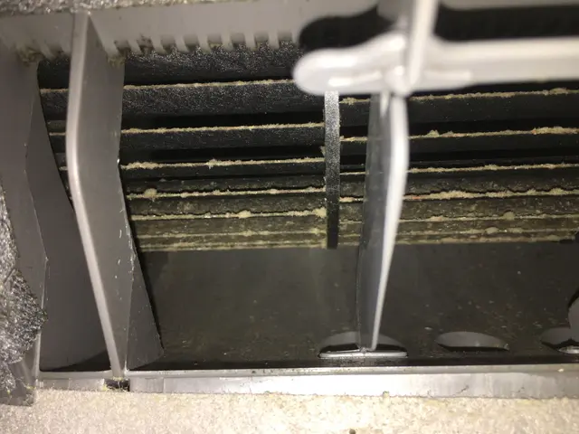 【3回洗浄でカビを根こそぎ除去】安心のビフォーアフター提示します『交通費0円』サービスの画像