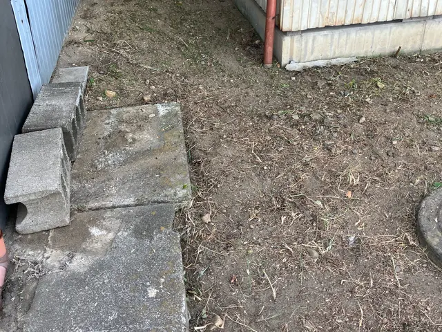 ◎除草剤無料提供◎必ず満足させます◎小さなことでもどんどん質問してください。サービスの画像