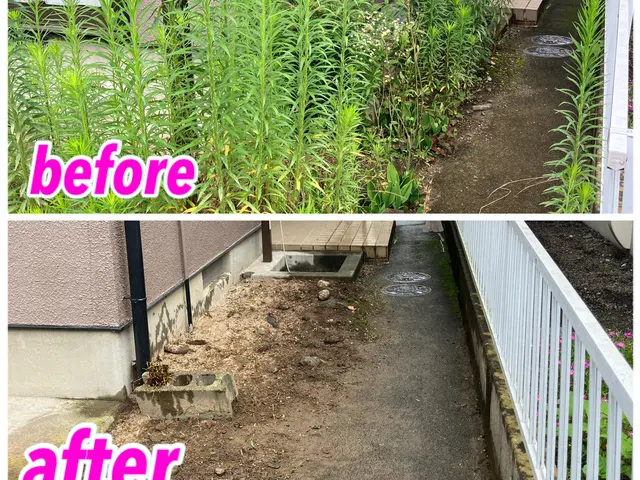 ◎除草剤無料提供◎必ず満足させます◎小さなことでもどんどん質問してください。サービスの画像