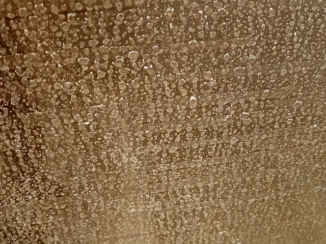 ナチュラルエコ洗剤使用の「安全・安心」クリーニング。人気です^_^サービスの画像