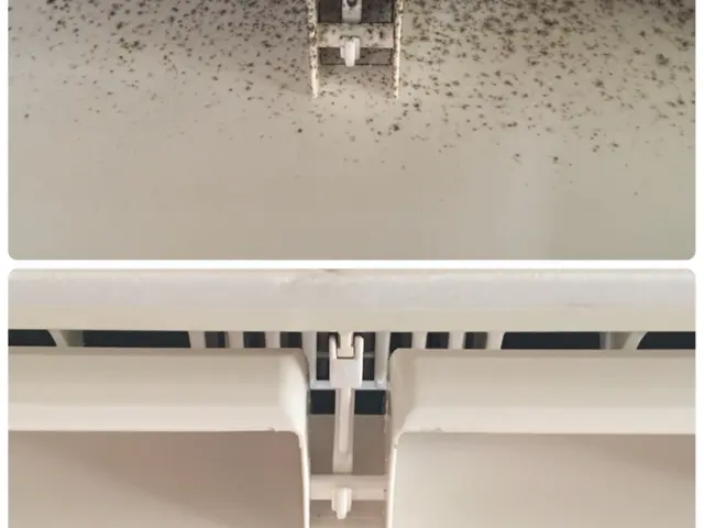 ◆抗菌・防カビ仕上げ無料◆非喫煙者◆電気工事士サービスの画像