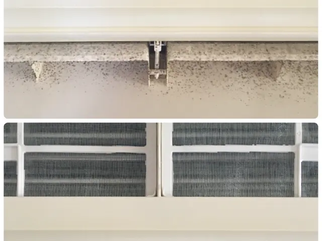 ◆抗菌・防カビ仕上げ無料◆非喫煙者◆電気工事士サービスの画像