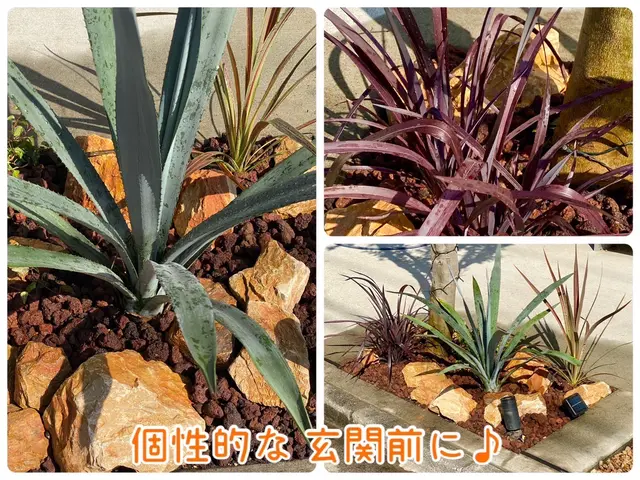 2022.23.24アワード入選店舗！ロックガーデン・ドライガーデンお任せ下さいサービスの画像