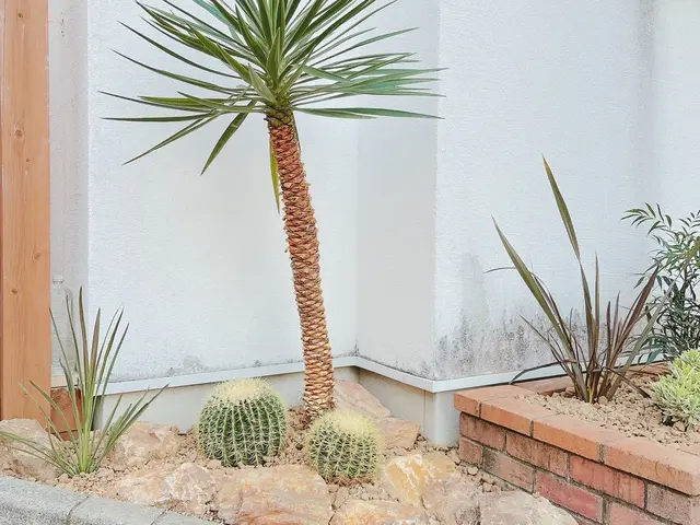 2022.23.24アワード入選店舗！ロックガーデン・ドライガーデンお任せ下さいサービスの画像