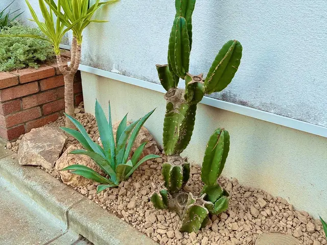 2022.23.24アワード入選店舗！ロックガーデン・ドライガーデンお任せ下さいサービスの画像