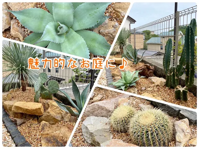 2022.23.24アワード入選店舗！ロックガーデン・ドライガーデンお任せ下さいサービスの画像