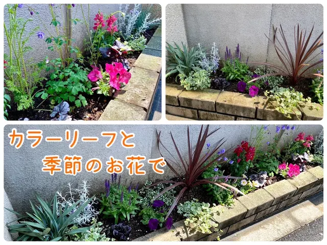 2022.23.24アワード入選店舗！ロックガーデン・ドライガーデンお任せ下さいサービスの画像