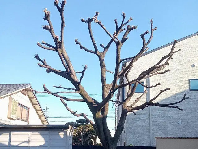 【PayPay・カード決済OK】処分費込です。3本以上大幅お値引有り！サービスの画像