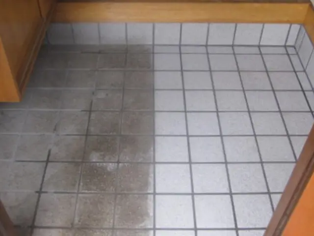 玄関タイル洗浄サービスの画像