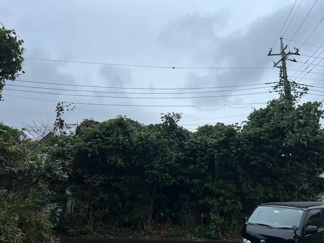 ★店長の私が夫婦で伺います★庭木の管理でお困りの方！★空き家・空き地も対応しますサービスの画像