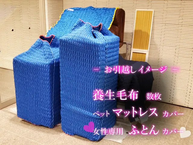 ✰︎ 軽トラック 単身引越し ✰車内大容量✰わがまま〇 即日 深夜早朝お引越し〇サービスの画像