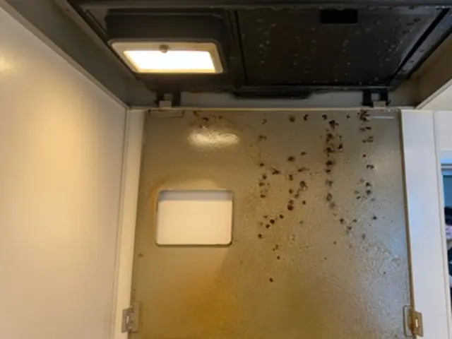 ◎レンジフードクリーニング◎低価格でもクオリティは高くやらせて頂きます☆サービスの画像