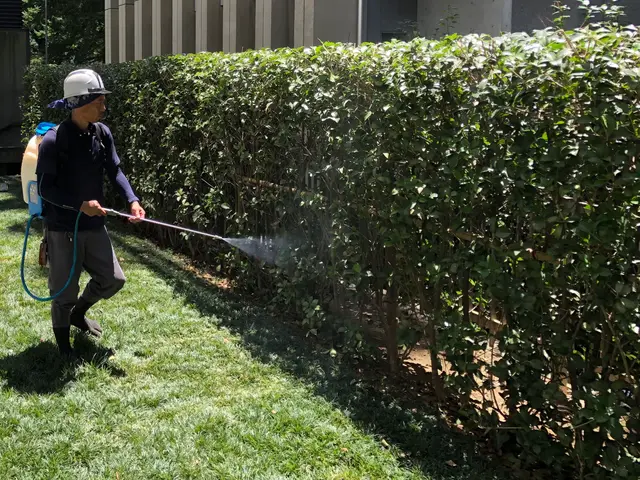 ☆業界歴23年☆植木屋によるプロの消毒で徹底駆除！時間外緊急対応可！ご相談下さいサービスの画像