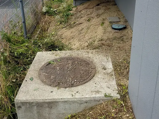 めんどくさい 草むしり作業致しますサービスの画像