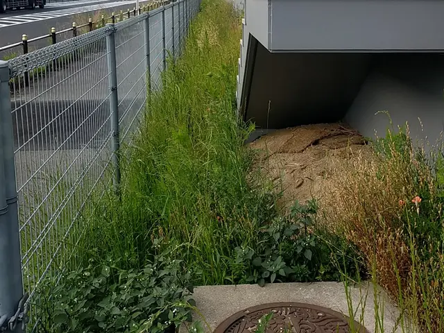 めんどくさい 草むしり作業致しますサービスの画像