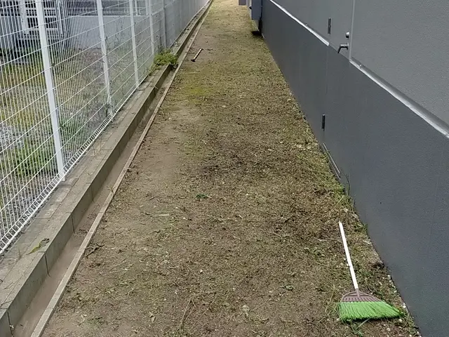 めんどくさい 草むしり作業致しますサービスの画像