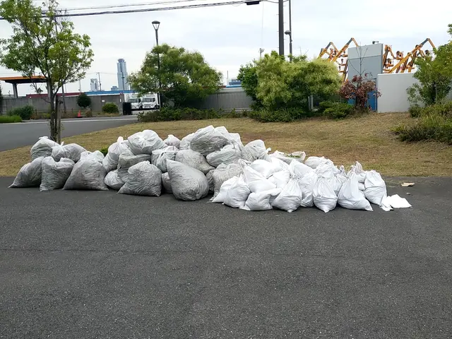 めんどくさい 草むしり作業致しますサービスの画像