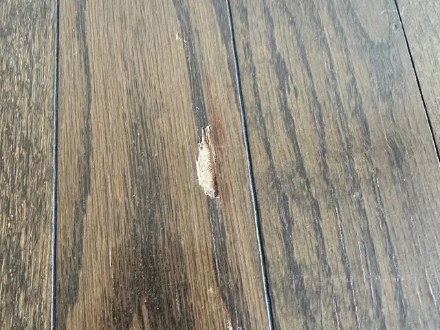 フローリング、樹脂、アルミサッシ、レンジフードなどの傷補修サービスの画像