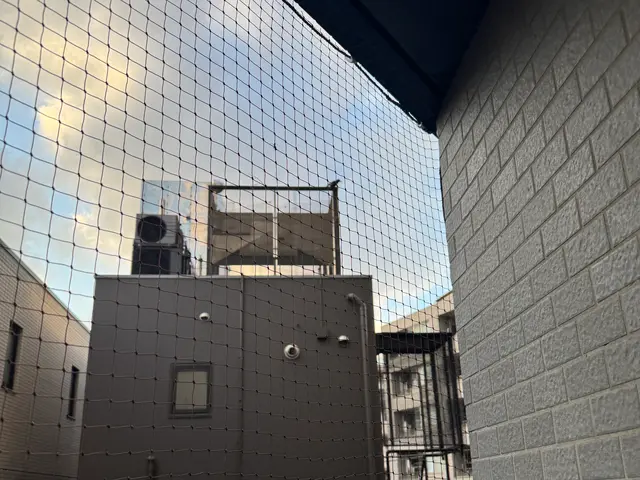 【最短当日お伺い】鳩避けネットや徹底清掃！プロの技術でベランダの平和を取り戻す！サービスの画像