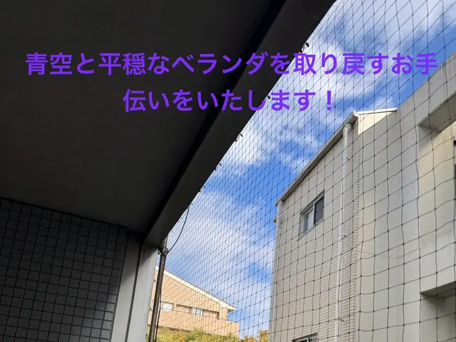 【最短当日お伺い】鳩避けネットや徹底清掃！プロの技術でベランダの平和を取り戻す！サービスの画像
