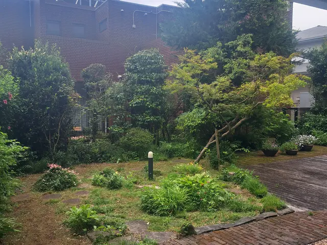 お写真でお見積り可能　庭木一本から承りますサービスの画像