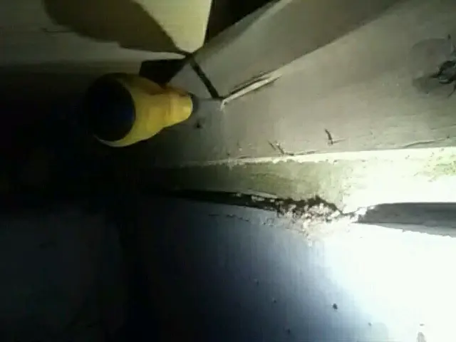 このたび独立しました。ホーム消毒です。サービスの画像