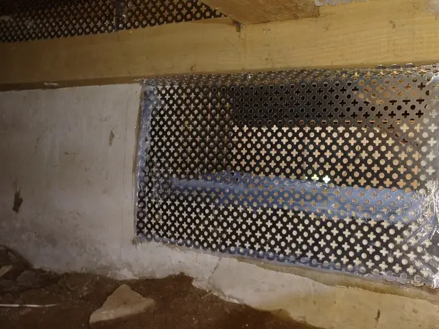 いすみ市から伺います。300件以上の施行経験をフルに活かして駆除をします！サービスの画像