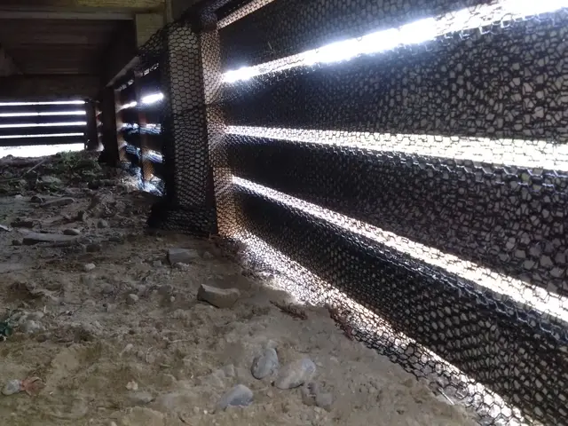 いすみ市から伺います。300件以上の施行経験をフルに活かして駆除をします！サービスの画像