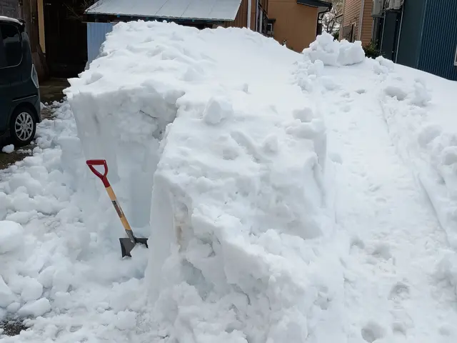 予算に合わせたプラン　時間外や対応地域外でもご相談下さい。丁寧に作業致します！サービスの画像