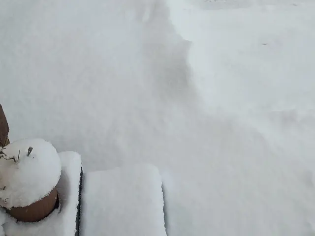 予算に合わせたプラン　時間外や対応地域外でもご相談下さい。丁寧に作業致します！サービスの画像