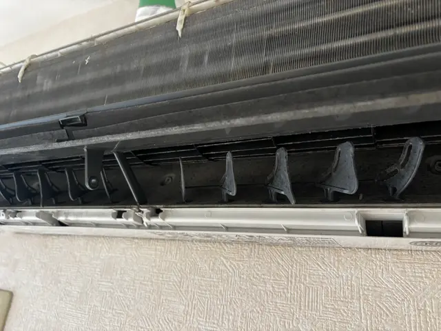 2月末まで2000円OFF（表示価格）、2月後半空きがございます！！サービスの画像