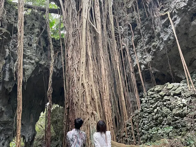 【豊島区発】年中無休で営業中◎ご予約〜撮影まで店長の私が対応いたします！