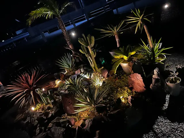 ドライガーデン・花植えなら当社にお任せください！サービスの画像