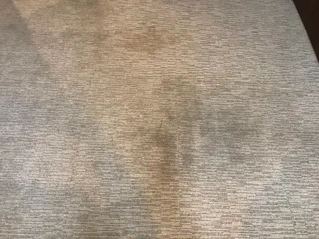 【女性スタッフ指定◎】上質なサービスで家事の息抜きや綺麗に保つことができます♪サービスの画像