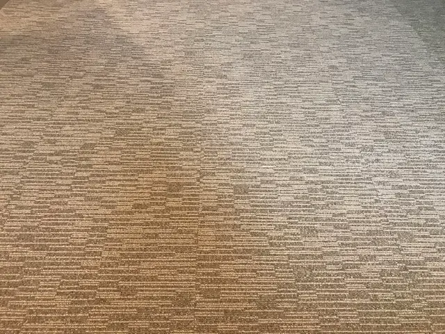 【女性スタッフ指定◎】上質なサービスで家事の息抜きや綺麗に保つことができます♪サービスの画像