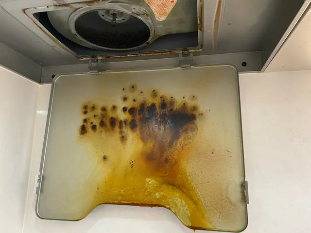 気になるレンジフードはプロにお任せ！サービスの画像