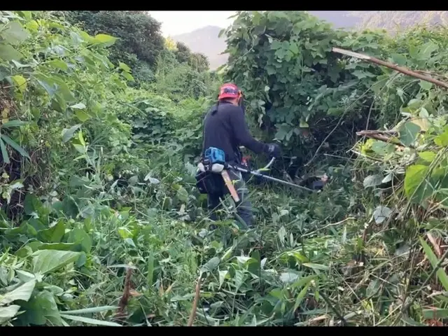 《臼杵市・津久見市中心・地域密着店》空家・藪・休耕地etc,,,サービスの画像